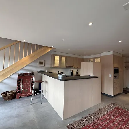 Bella Vista 12 - Penthouse Daire Wengen
